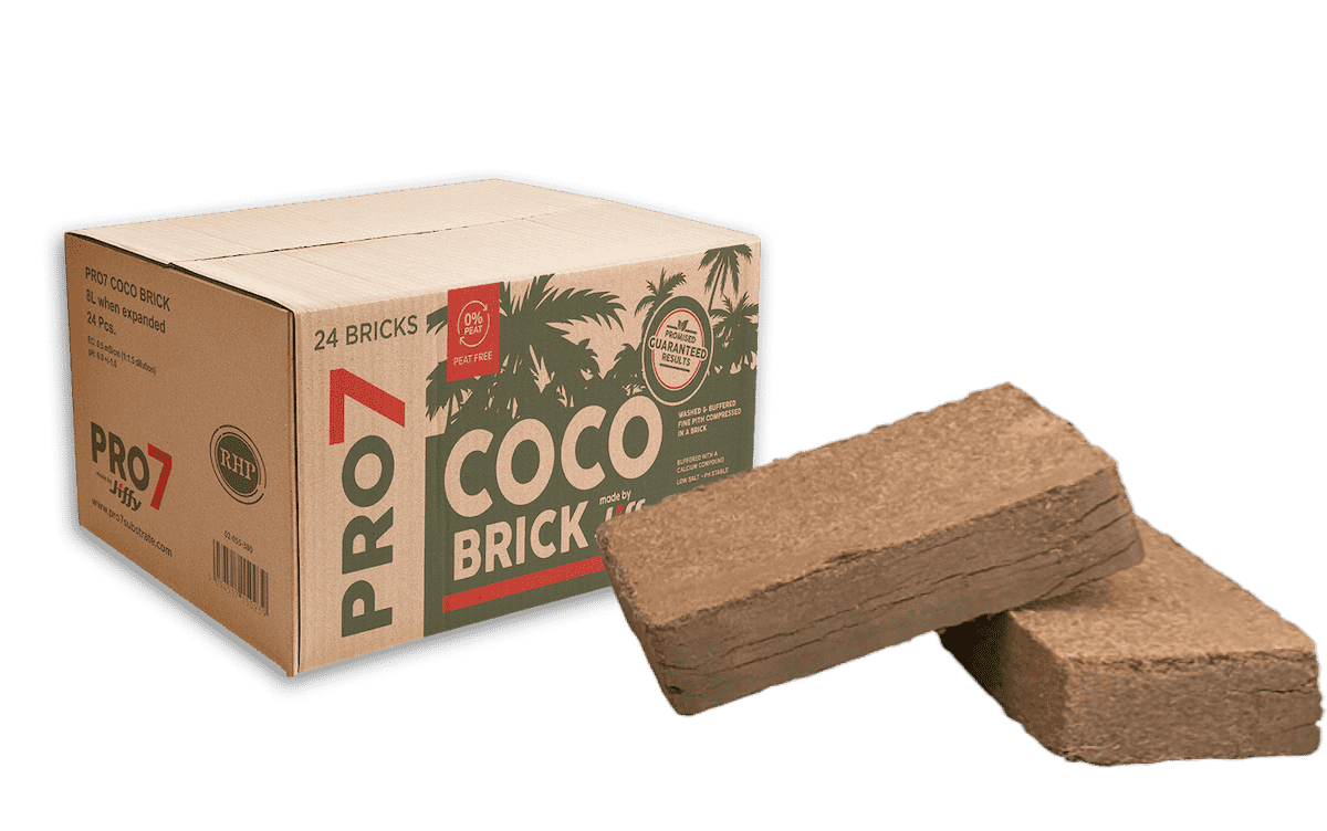 coco brick
